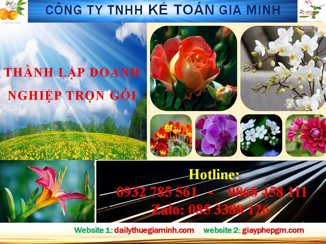 Dịch vụ thành lập doanh nghiệp trọn gói tại Huyện Nhà Bè 4 Thủ tục thành lập doanh nghiệp trọn gói tại Huyện Nhà Bè