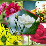 Dịch vụ thành lập doanh nghiệp trọn gói tại Kiên Giang 6 Cần thành lập doanh nghiệp trọn gói tại Kiên Giang
