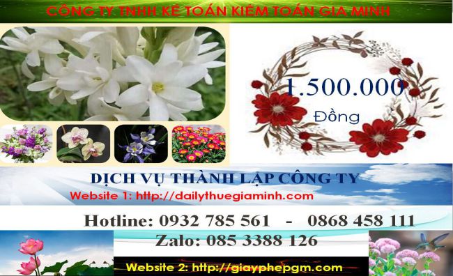 Dịch vụ thành lập doanh nghiệp trọn gói tại Kiên Giang 5 Chi phí thành lập doanh nghiệp trọn gói tại Kiên Giang