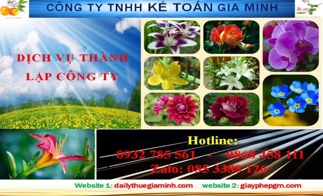Dịch vụ thành lập doanh nghiệp trọn gói tại Kiên Giang 4 Thủ tục thành lập doanh nghiệp trọn gói tại Kiên Giang