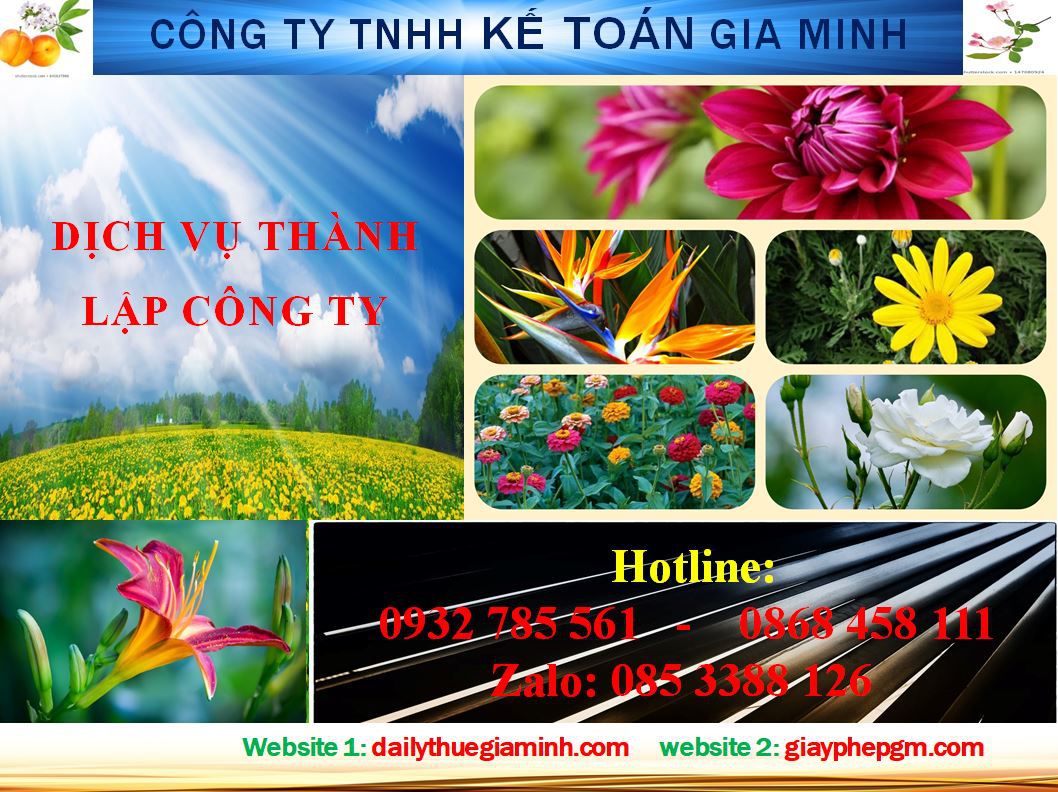 Dịch vụ thành lập doanh nghiệp trọn gói tại Lai Châu 4 Thủ tục thành lập doanh nghiệp trọn gói tại Lai Châu