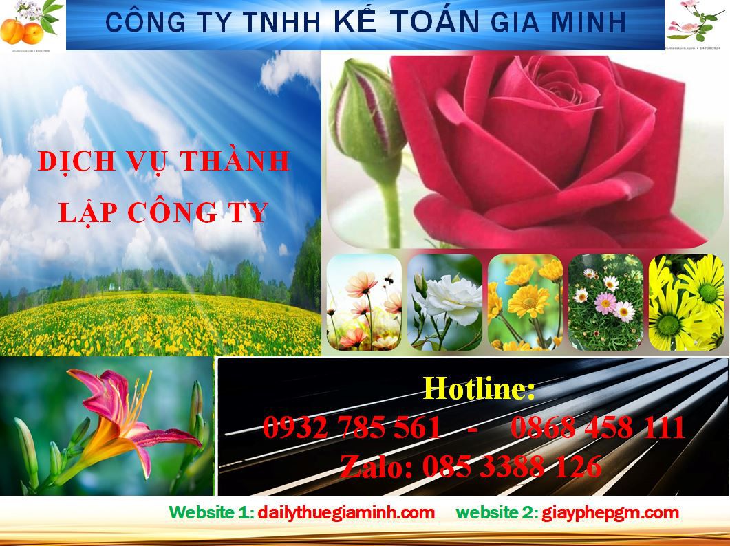 Dịch vụ thành lập doanh nghiệp trọn gói tại Lạng Sơn 4 Thủ tục thành lập doanh nghiệp trọn gói tại Lạng Sơn