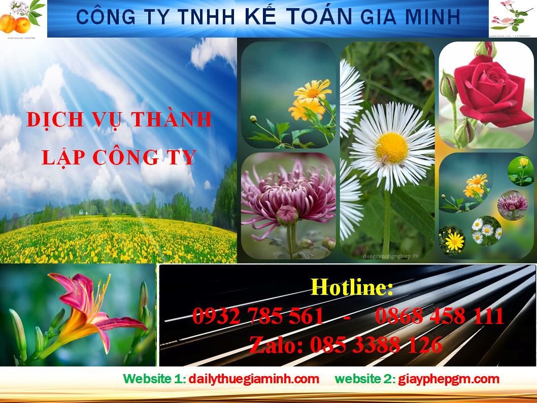 Dịch vụ thành lập doanh nghiệp trọn gói tại Nam Định 4 Thủ tục thành lập doanh nghiệp trọn gói tại Nam Định