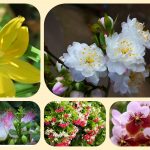 Dịch vụ thành lập doanh nghiệp trọn gói tại Quận 1 6 Cần thành lập doanh nghiệp trọn gói tại Quận 1