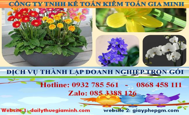 Dịch vụ thành lập doanh nghiệp trọn gói tại Quận 1 4 Thủ tục thành lập doanh nghiệp trọn gói tại Quận 1