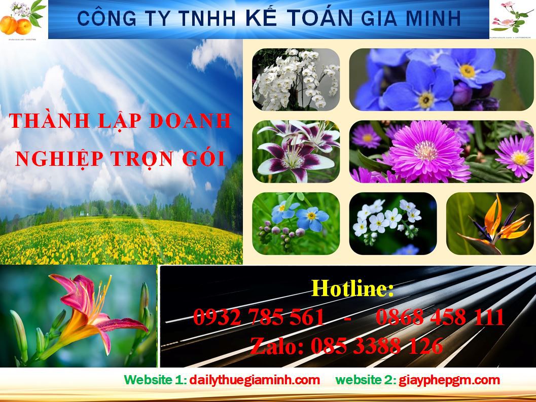 Dịch vụ thành lập doanh nghiệp trọn gói tại Quận 11 4 Thủ tục thành lập doanh nghiệp trọn gói tại Quận 11