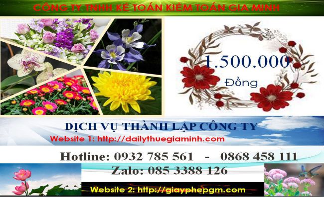 Dịch vụ thành lập doanh nghiệp trọn gói tại Quận 7 5 Chi phí thành lập doanh nghiệp trọn gói tại Quận 7