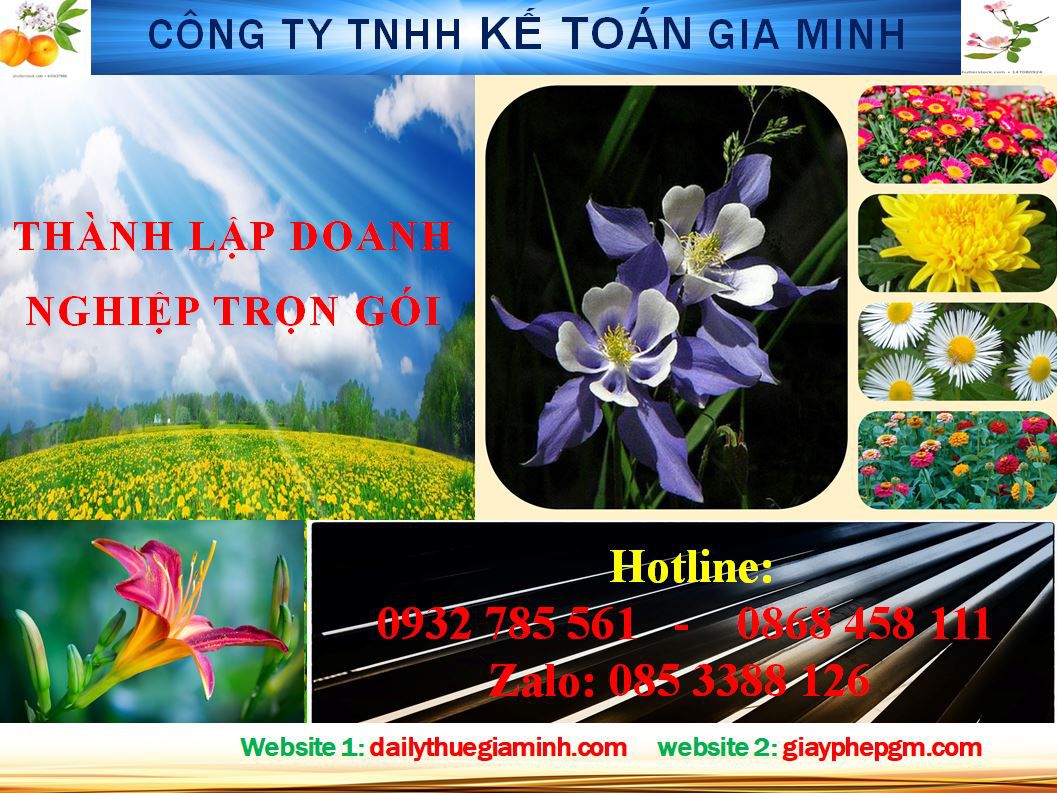 Dịch vụ thành lập doanh nghiệp trọn gói tại Quận 7 4 Thủ tục thành lập doanh nghiệp trọn gói tại Quận 7