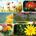 Cần thành lập doanh nghiệp trọn gói tại Quảng Trị