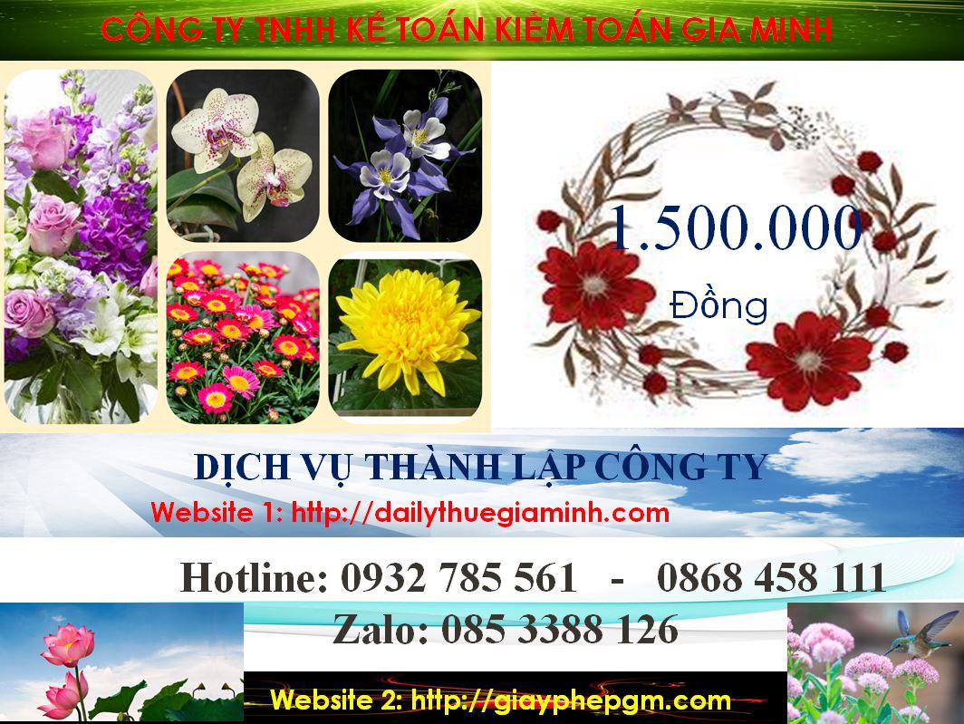 Dịch vụ thành lập doanh nghiệp trọn gói tại Thành phố Hồ Chí Minh 5 Chi phí thành lập doanh nghiệp trọn gói tại Thành phố Hồ Chí Minh