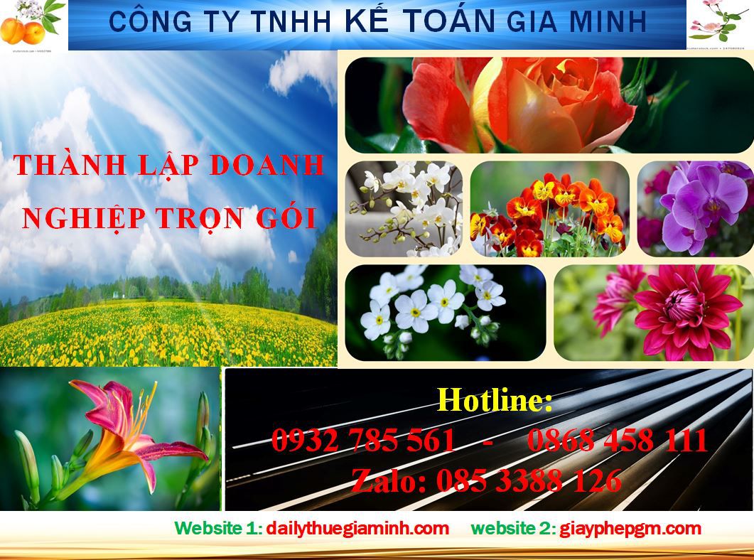 Dịch vụ thành lập doanh nghiệp trọn gói tại Thành phố Hồ Chí Minh 4 Thủ tục thành lập doanh nghiệp trọn gói tại Thành phố Hồ Chí Minh