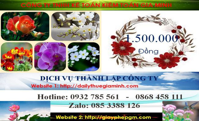 Dịch vụ thành lập doanh nghiệp trọn gói tại Thành phố Thủ Dầu Một – Hồ sơ, quy trình & chi phí 5 Chi phí thành lập doanh nghiệp trọn gói tại Thành phố Thủ Dầu Một