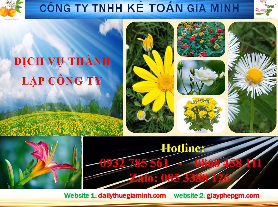 Dịch vụ thành lập doanh nghiệp trọn gói tại TP Hồ Chí Minh 4 Thủ tục thành lập doanh nghiệp trọn gói tại TP Hồ Chí Minh