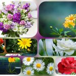 Dịch vụ thành lập doanh nghiệp trọn gói tại TPHCM 6 Cần thành lập doanh nghiệp trọn gói tại TPHCM