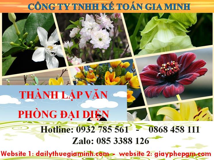 Dịch vụ thành lập văn phòng đại diện tại Bắc Giang 4 Thủ tục thành lập văn phòng đại diện tại Bắc Giang