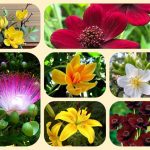 Dịch vụ thành lập văn phòng đại diện tại Bắc Giang 6 Muốn thành lập văn phòng đại diện tại Bắc Giang