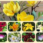 Dịch vụ thành lập văn phòng đại diện tại Bình Định 6 Muốn thành lập văn phòng đại diện tại Bình Định