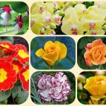  Muốn thành lập văn phòng đại diện tại Điện Biên