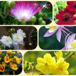 Dịch vụ thành lập văn phòng đại diện tại Hà Nội uy tín – Trọn gói, Nhanh chóng, Chuyên nghiệp 6 Muốn thành lập văn phòng đại diện tại Hà Nội