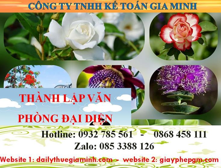 Dịch vụ thành lập văn phòng đại diện tại Hải Phòng 4 Thủ tục thành lập văn phòng đại diện tại Hải Phòng