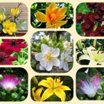Dịch vụ thành lập văn phòng đại diện tại Hải Phòng 6 Muốn thành lập văn phòng đại diện tại Hải Phòng