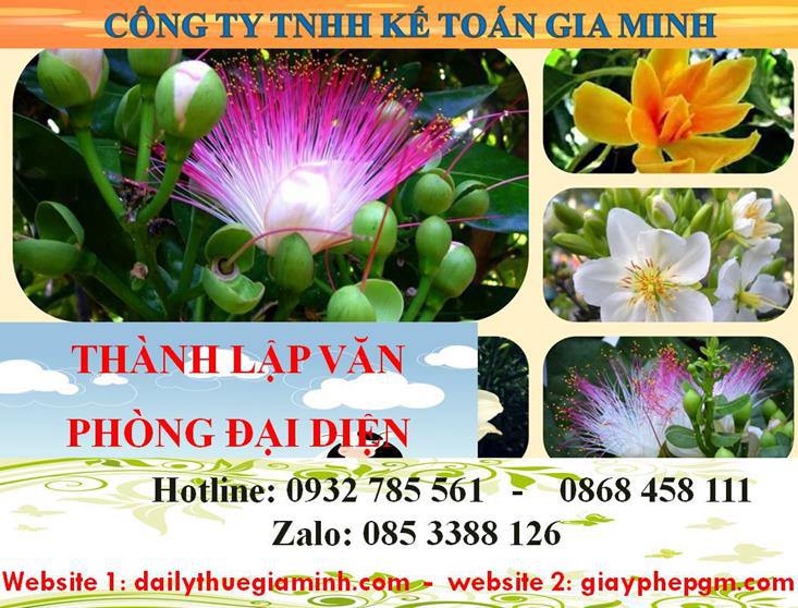 Dịch vụ thành lập văn phòng đại diện tại Hòa Bình 4 Thủ tục thành lập văn phòng đại diện tại Hòa Bình