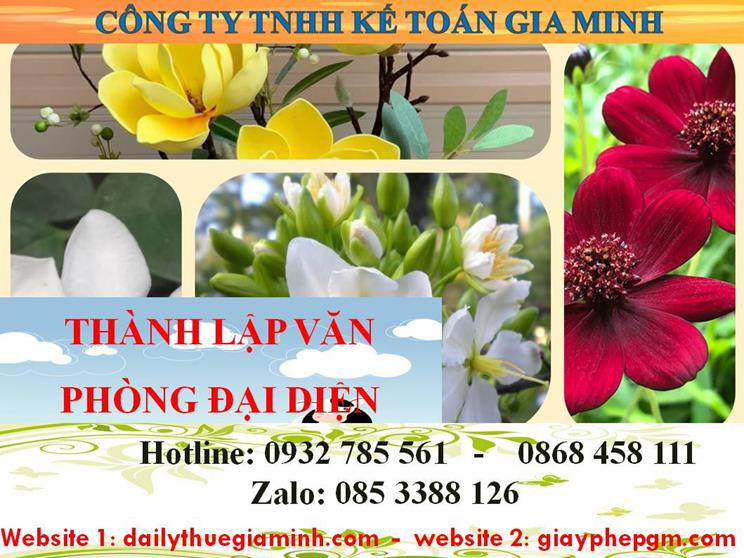 Dịch vụ thành lập văn phòng đại diện tại Huế 1 Thủ tục thành lập văn phòng đại diện tại Huế