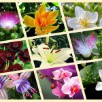 Dịch vụ thành lập văn phòng đại diện tại Huế 3 Muốn thành lập văn phòng đại diện tại Huế