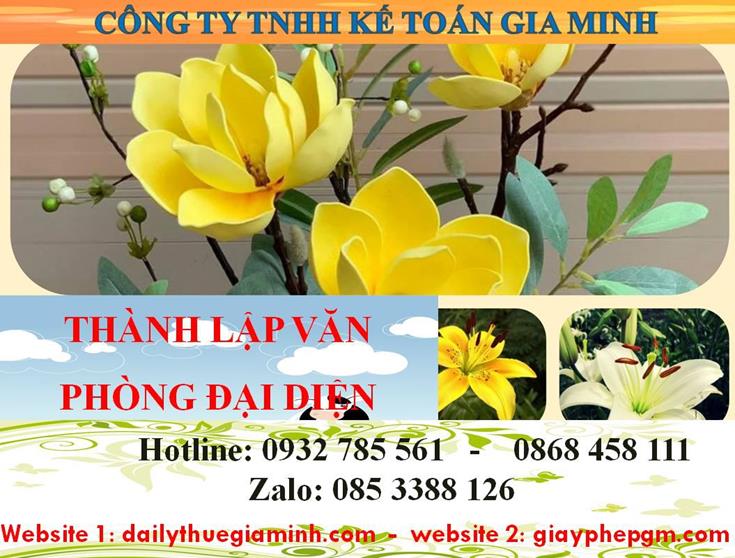 Dịch vụ thành lập văn phòng đại diện tại Huyện Bắc Tân Uyên nhanh chóng, giá rẻ, trọn gói 4 Dịch vụ thành lập văn phòng đại diện tại huyện Bắc Tân Uyên
