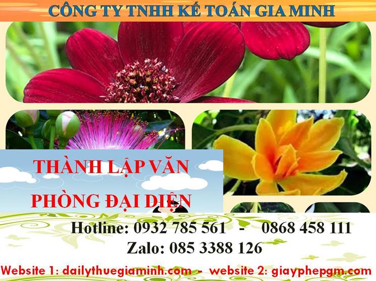 Dịch vụ thành lập văn phòng đại diện tại Huyện Bàu Bàng – Nhanh chóng & Uy tín 4 Thủ tục thành lập văn phòng đại diện tại Huyện Bàu Bàng