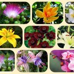 Dịch vụ thành lập văn phòng đại diện tại Huyện Bình Chánh 6 Muốn thành lập văn phòng đại diện tại Huyện Bình Chánh