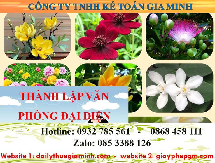 Dịch vụ thành lập văn phòng đại diện tại Huyện Nhà Bè 4 Thủ tục thành lập văn phòng đại diện tại Huyện Nhà Bè