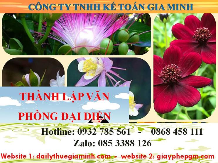  Thủ tục thành lập văn phòng đại diện tại Huyện Thương Tín