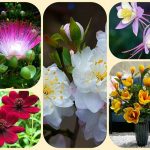 Dịch vụ thành lập văn phòng đại diện tại Lâm Đồng 6 Muốn thành lập văn phòng đại diện tại Lâm Đồng