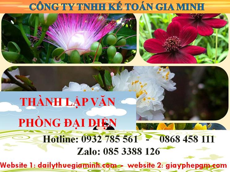 Dịch vụ thành lập văn phòng đại diện tại Lâm Đồng 4 Thủ tục thành lập văn phòng đại diện tại Lâm Đồng