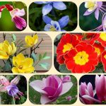 Dịch vụ thành lập văn phòng đại diện tại Lào Cai 6 Muốn thành lập văn phòng đại diện tại Lào CaiMuốn thành lập văn phòng đại diện tại Lào Cai