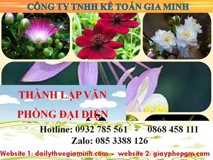 Dịch vụ thành lập văn phòng đại diện tại Lào Cai 4 Thủ tục thành lập văn phòng đại diện tại Lào Cai
