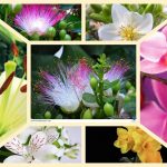 Dịch vụ thành lập văn phòng đại diện tại Nam Định 6 Muốn thành lập văn phòng đại diện tại Nam Định