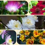 Dịch vụ thành lập văn phòng đại diện tại Ninh Bình 6 Muốn thành lập văn phòng đại diện tại Nình Bình