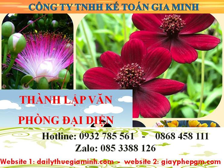 Dịch vụ thành lập văn phòng đại diện tại Ninh Bình 4 Thủ tục thành lập văn phòng đại diện tại Nình Bình