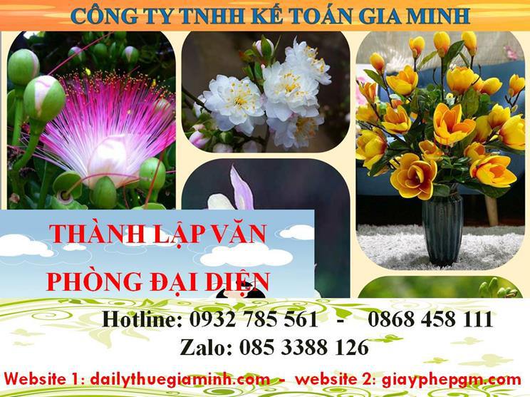 Dịch vụ thành lập văn phòng đại diện tại Ninh Thuận 4 Thủ tục thành lập văn phòng đại diện tại Nình Thuận