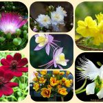 Dịch vụ thành lập văn phòng đại diện tại Quảng Ninh 6 Muốn thành lập văn phòng đại diện tại Quảng Ninh