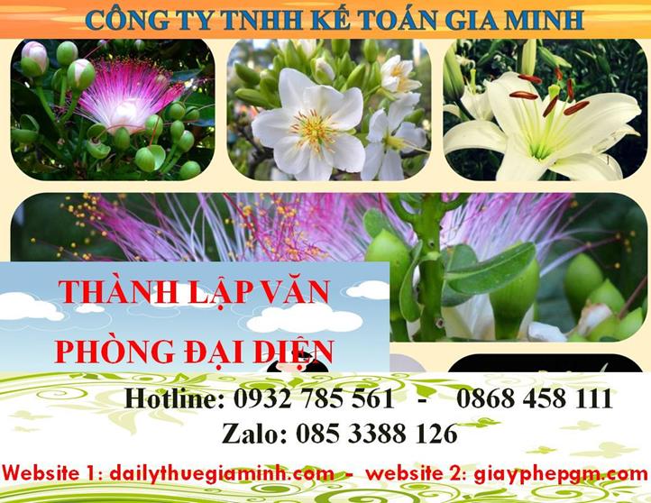 Dịch vụ thành lập văn phòng đại diện tại Sơn La 4 Thủ tục thành lập văn phòng đại diện tại Sơn La