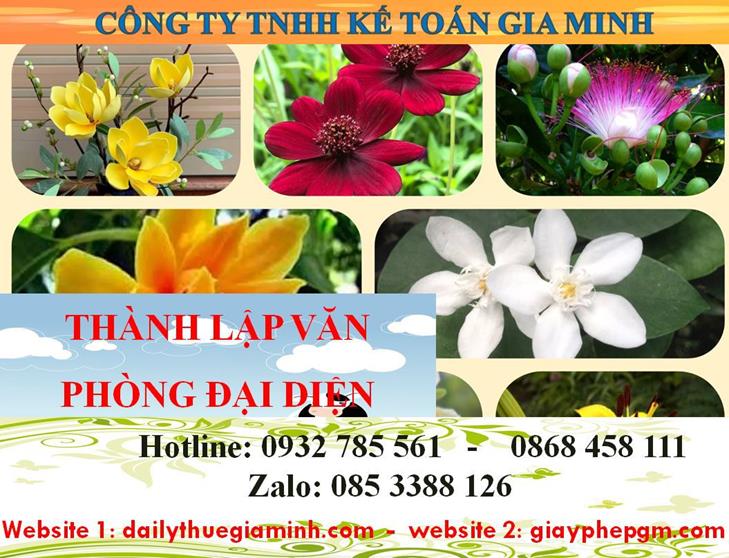  Thủ tục thành lập văn phòng đại diện tại Thành phố Thủ Dầu Một