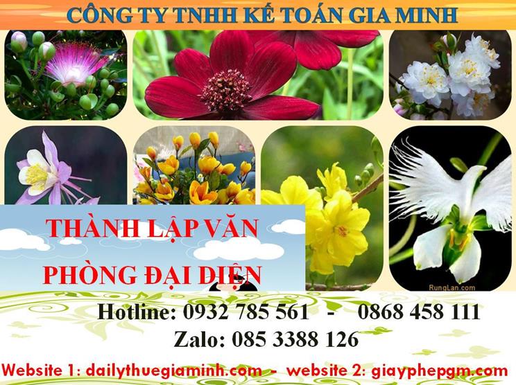 Dịch vụ thành lập văn phòng đại diện tại TPHCM 4 Thủ tục thành lập văn phòng đại diện tại TPHCM