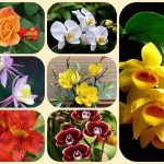 Dịch vụ thành lập văn phòng đại diện tại TPHCM 6 Muốn thành lập văn phòng đại diện tại TPHCM