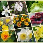 Dịch vụ thành lập văn phòng đại diện tại Tuyên Quang 6 Muốn thành lập văn phòng đại diện tại Tuyên Quang