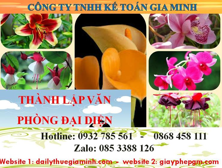 Dịch vụ thành lập văn phòng đại diện tại Tuyên Quang 4 Thủ tục thành lập văn phòng đại diện tại Tuyên Quang
