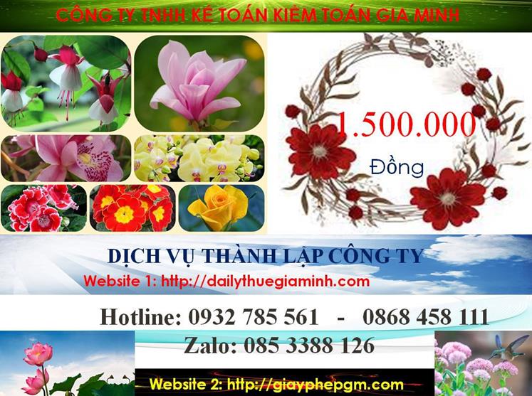 Chi phí thành lập văn phòng đại diện tại Vĩnh Phúc