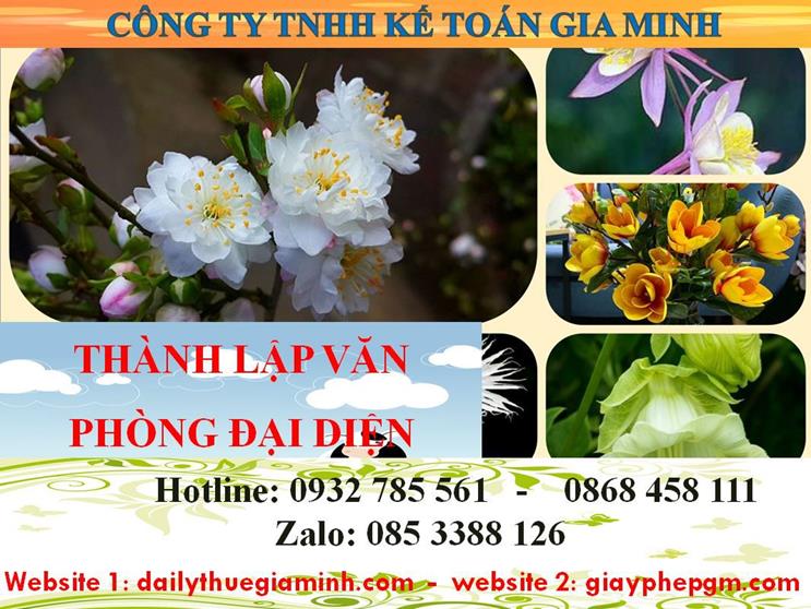 Thủ tục thành lập văn phòng đại diện tại Vĩnh Phúc